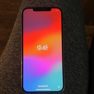 Apple iPhone 12 Pro Max Cream w/ Gold trim